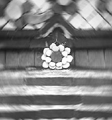 environmental_gifts_gypsys_bees001004.jpg